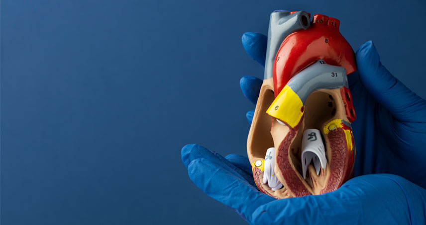 aort anevrizması genişlemesi