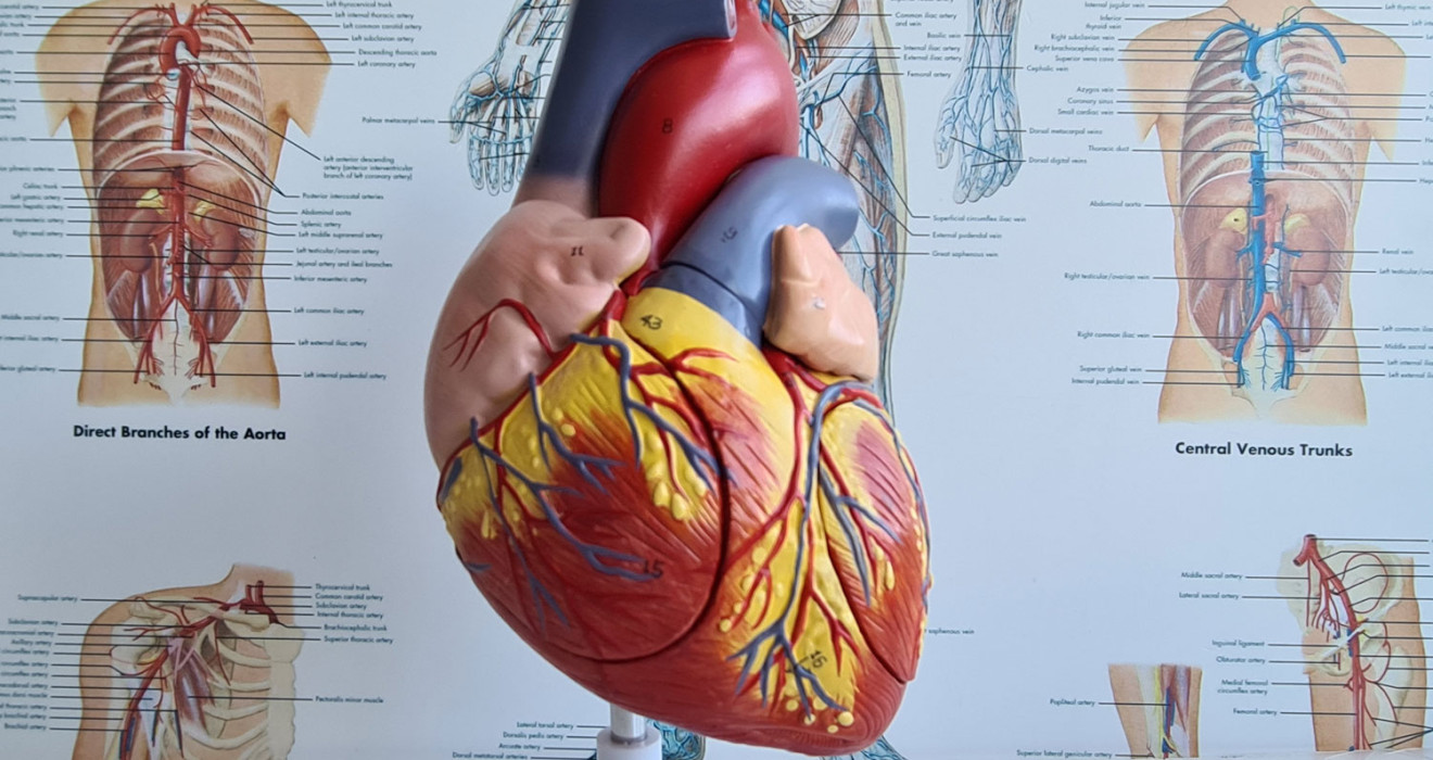 Valvular Heart Diseases 