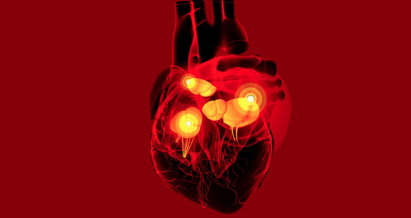 Kalp Kapağı Hastalıkları Tedavisi ve Takip